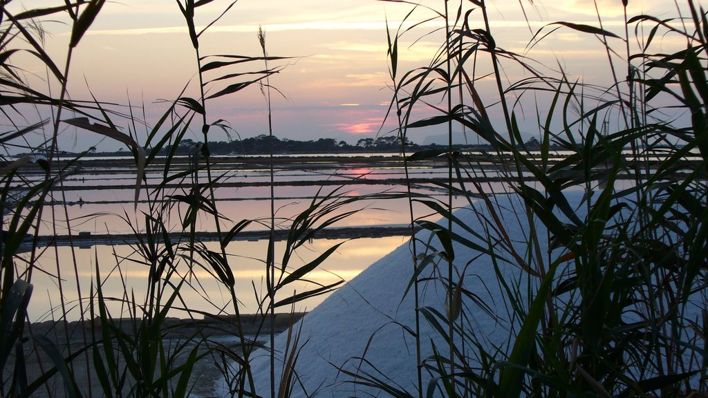 Tramonto alle saline di marsala by alessio68