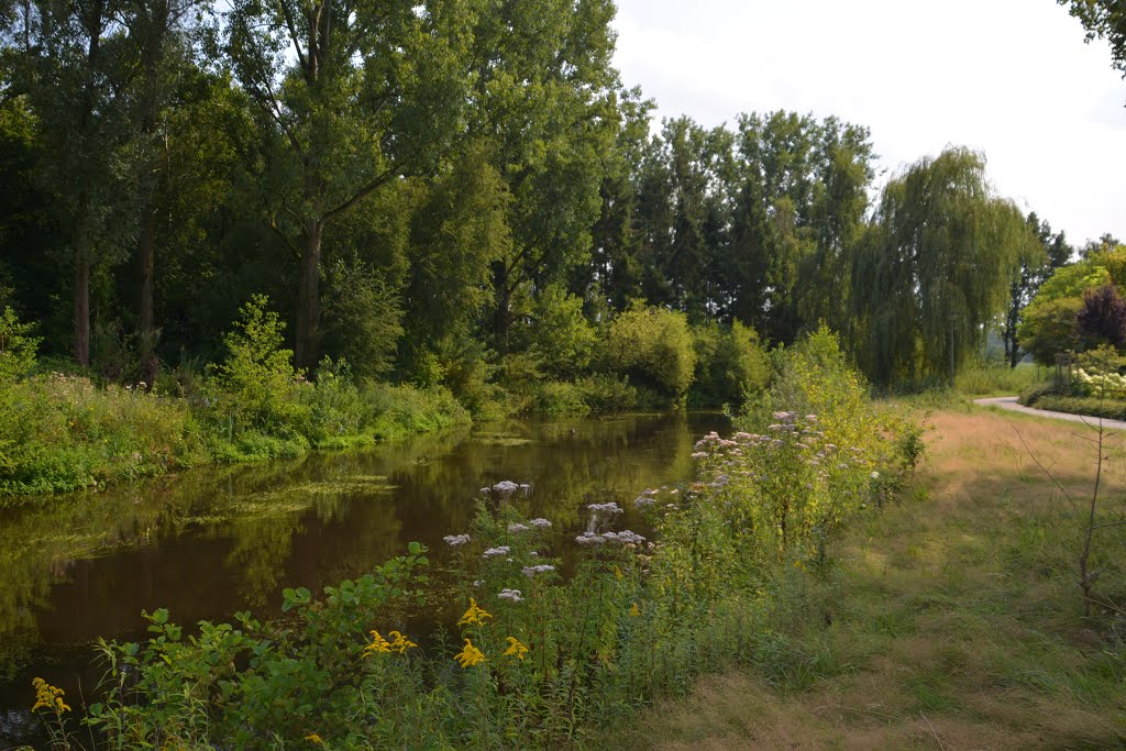 Rondom de Dommel 7 by Arno Braamhorst