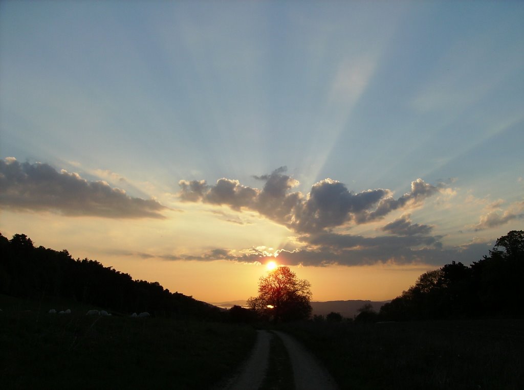 Soleil du matin by maradan