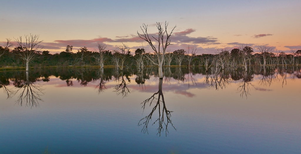 Mulligans Flat Woodland Sanctuary, ACT, Australia by Mark Jekabsons