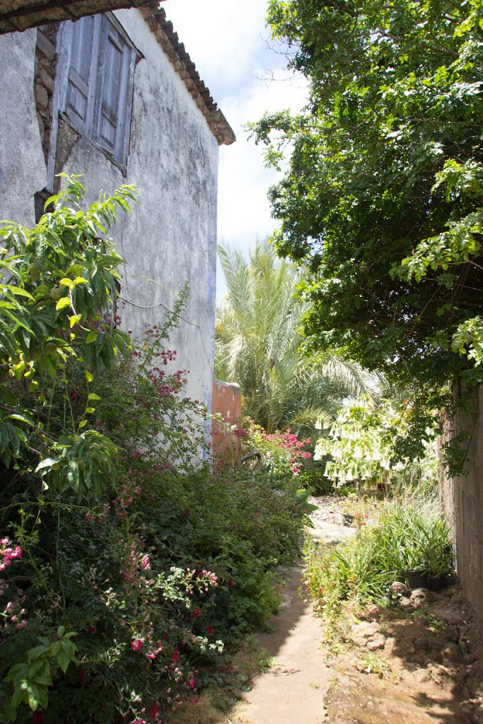 Casa rural antigua. La Matanza de Acentejo by Dácil