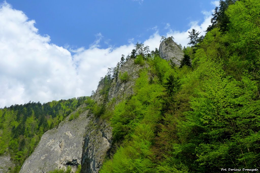 Pieniny. Widok ze spływu przełomem Dunajca. by Dariusz Domagała