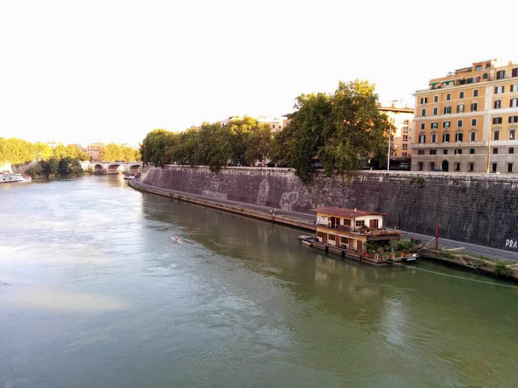 Rome, Italy by Darryl Yong