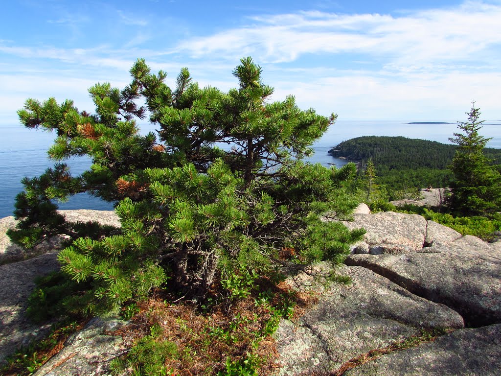 Bar Harbor, ME, USA by Chris Sanfino