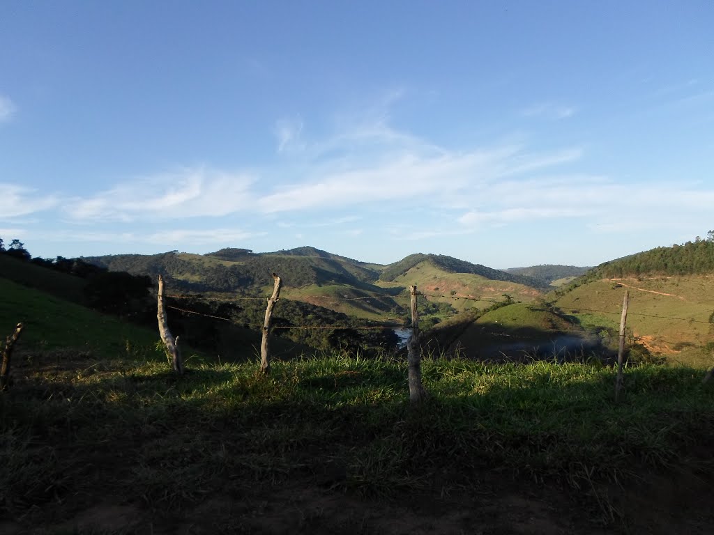 Cedro Piranga by Pedalêro