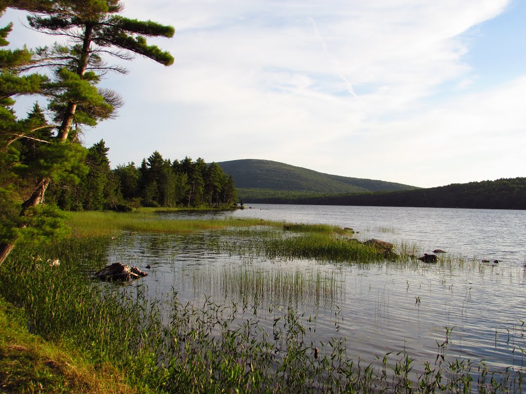 Bar Harbor, ME, USA by Chris Sanfino