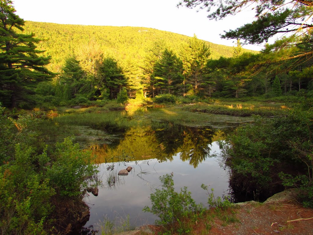 Bubble Brook from Carriage Road by Chris Sanfino