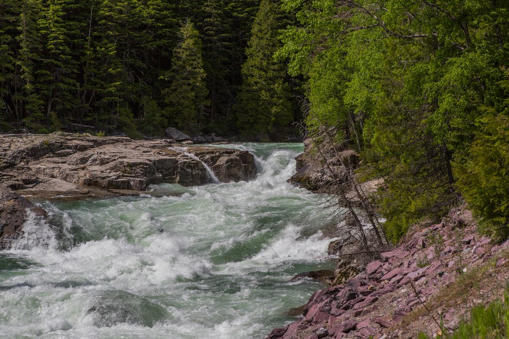 McDonald Creek, Glacier National Park, Montana by Richard Ryer