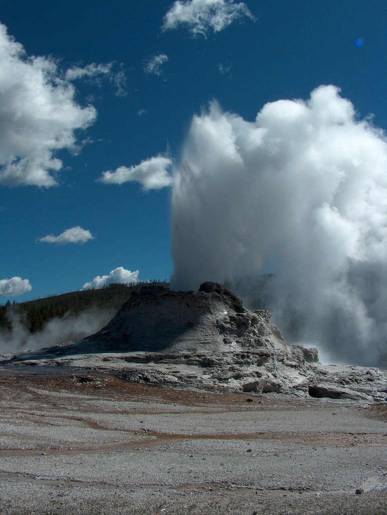 Castle Geyser, Yellowstone National Park, Wyoming 6-16-2006 by R.T. Binner Jr.