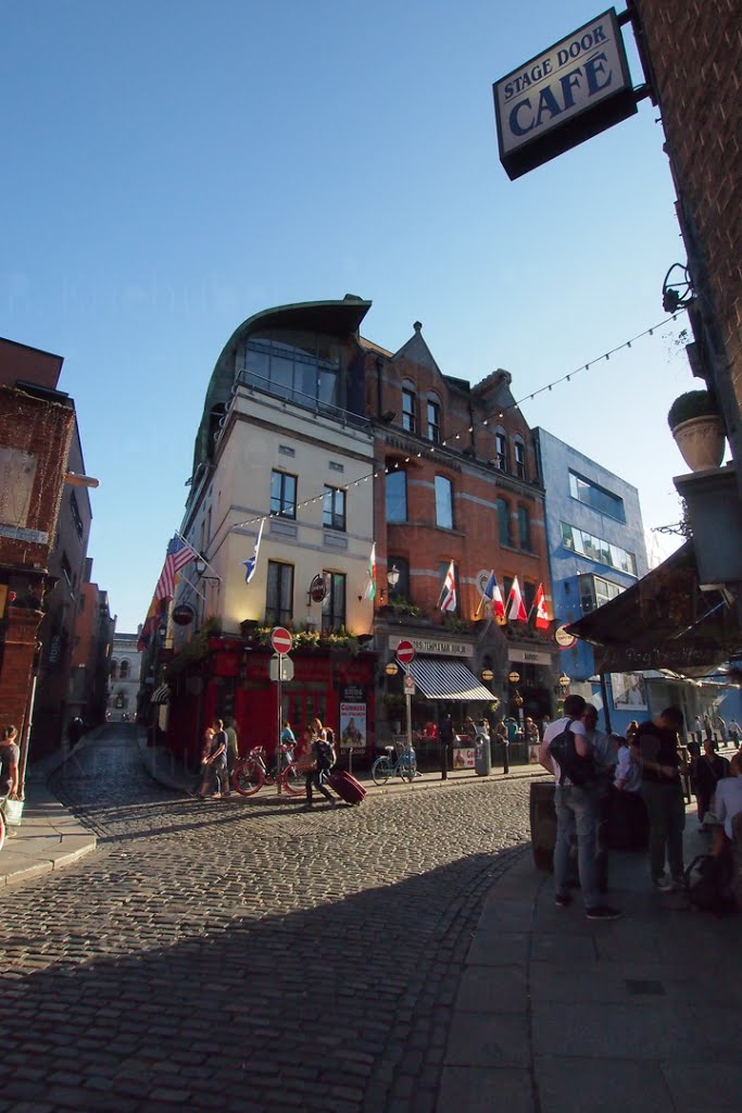 Pre Pub Crawl, Temple Bar, Dublin by Palaemon