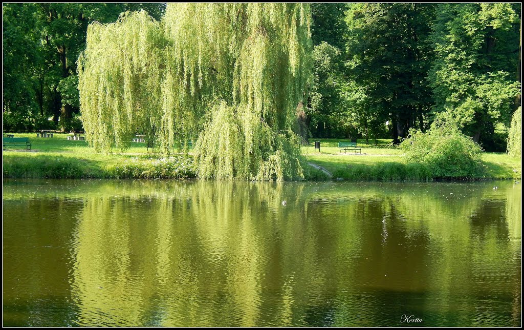 Julianów, Łódź, Poland by Kerttu Northman