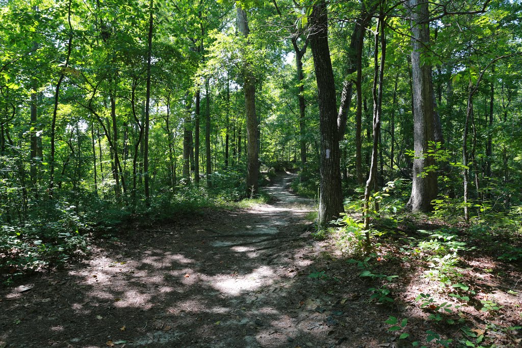 Stone Mountain Park Indian Island by bryanf