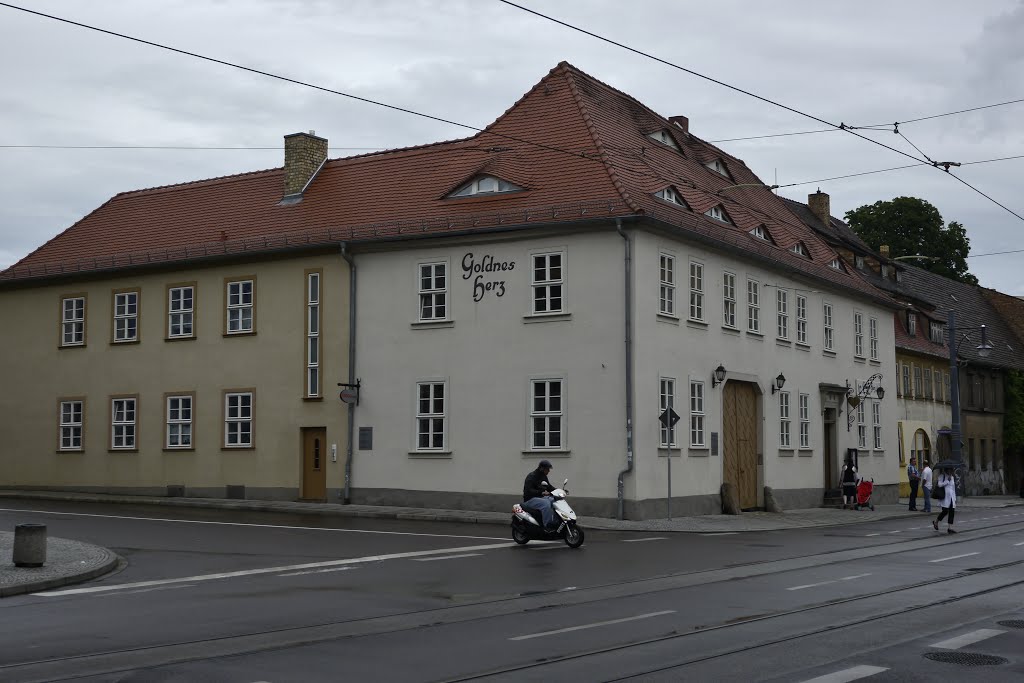 Restaurant Goldenes Herz - Mansfelder Straße 57, Ecke Ankerstraße Halle (Saale) by paul muster