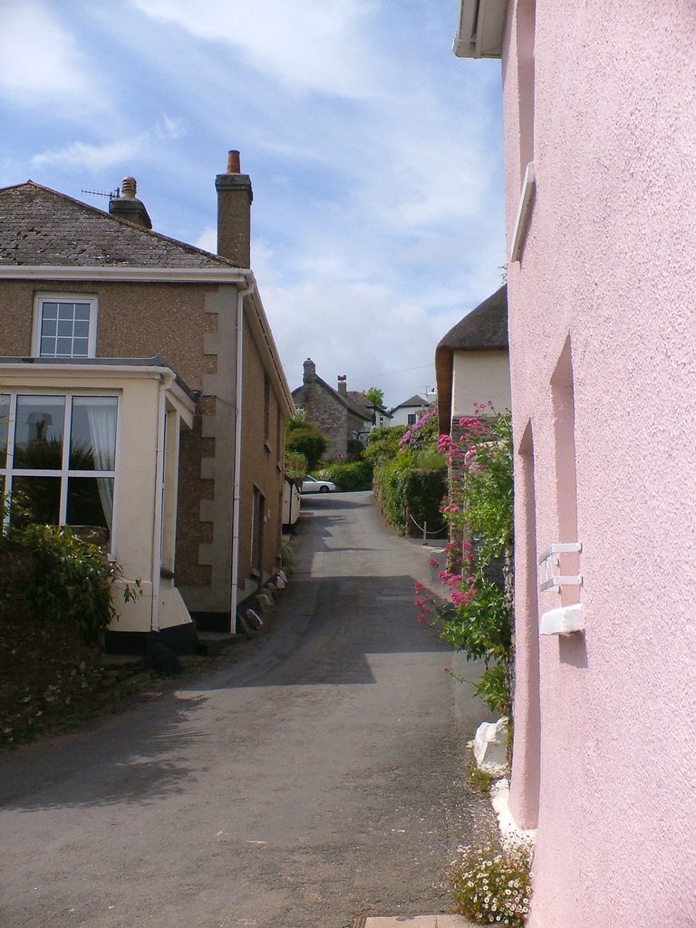 Looking North-West up Prospect Hill, Slapton by Rosa Foulger