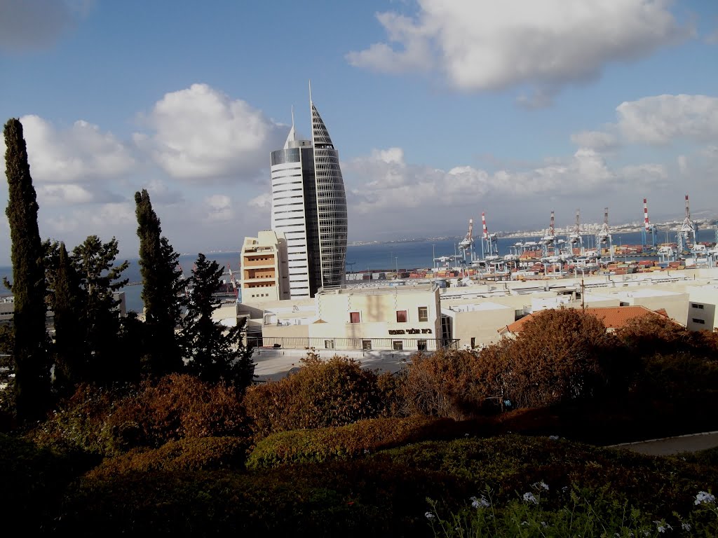 Haifa, Israel by Tanya Robova