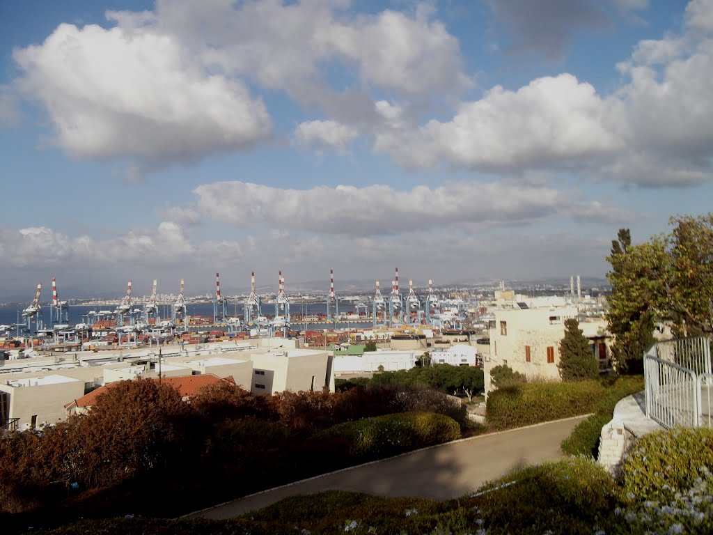 Haifa, Israel by Tanya Robova