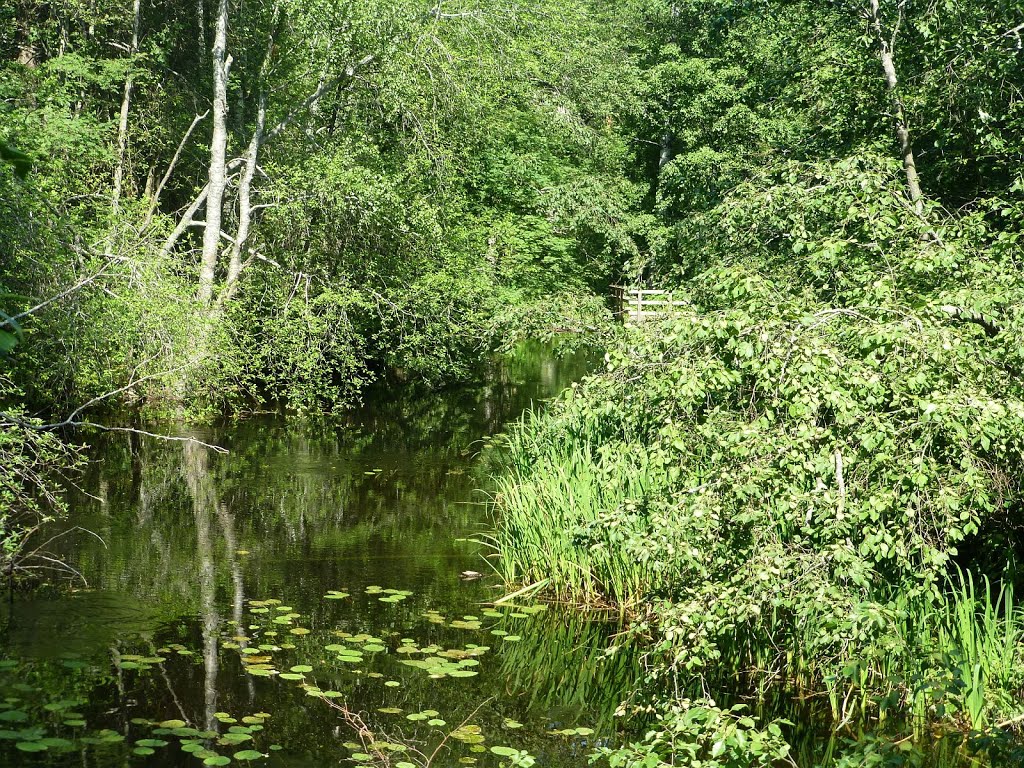 Urpola Nature Trail, Mikkeli by PaaWi