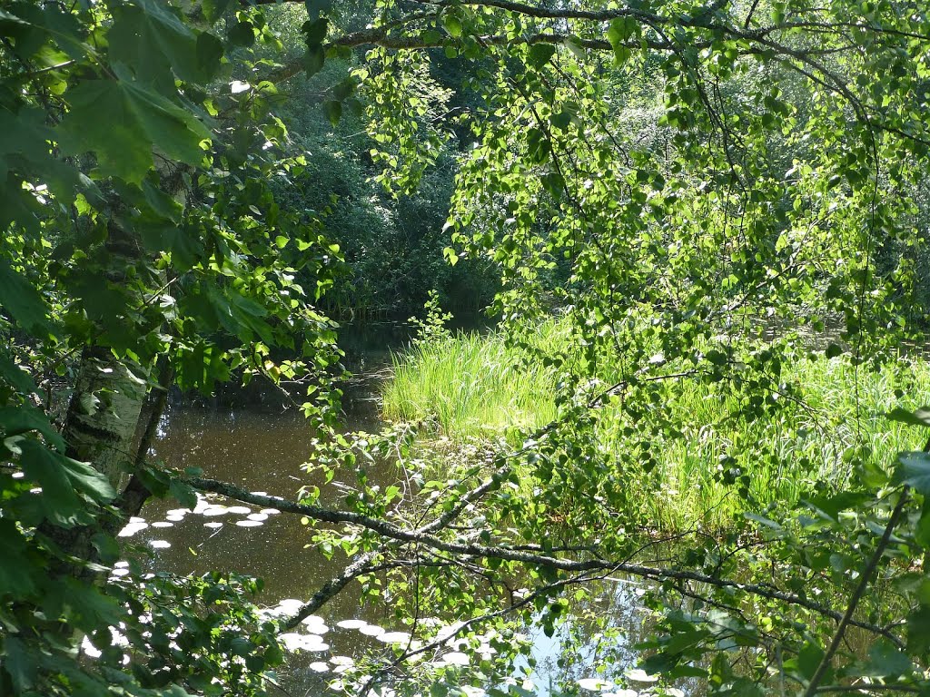 Urpola Nature Trail, Mikkeli by PaaWi