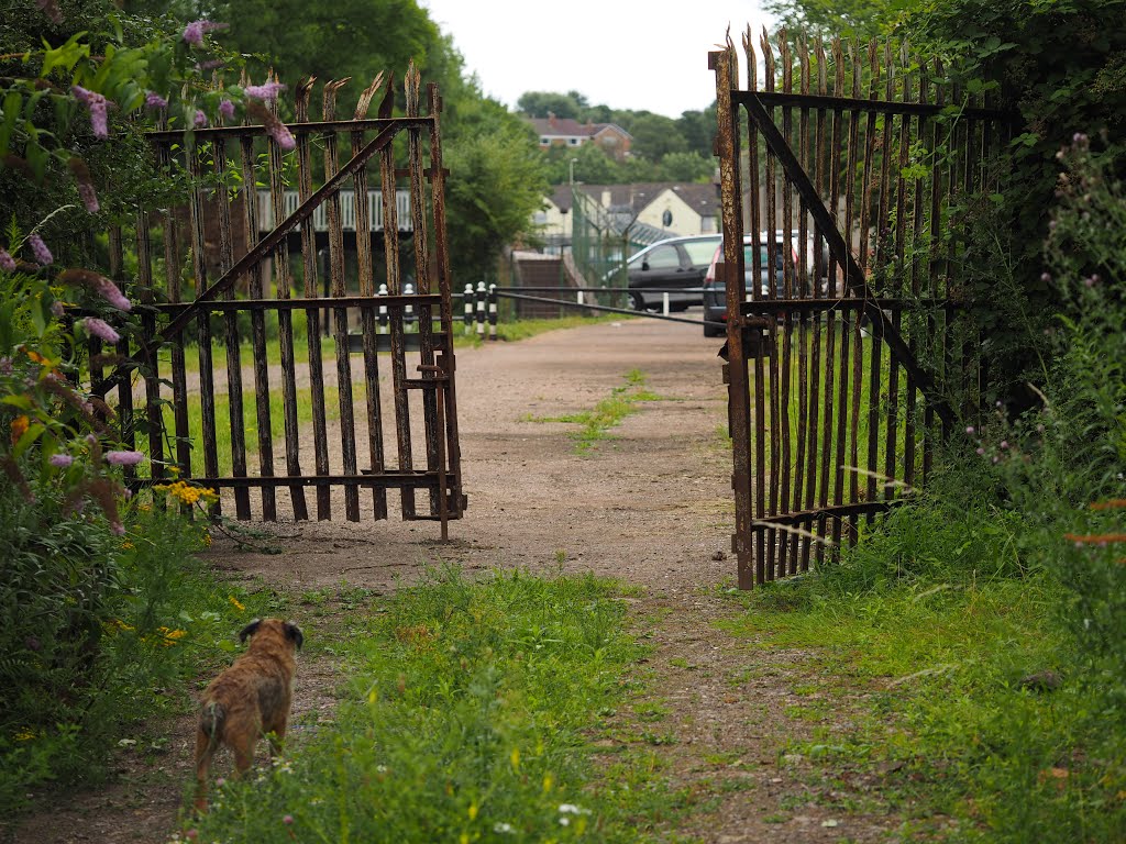 Nr Stourbridge Canal by Tim Gardner