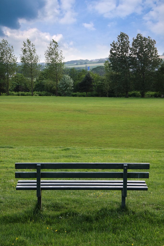 Park Bench by Andrij