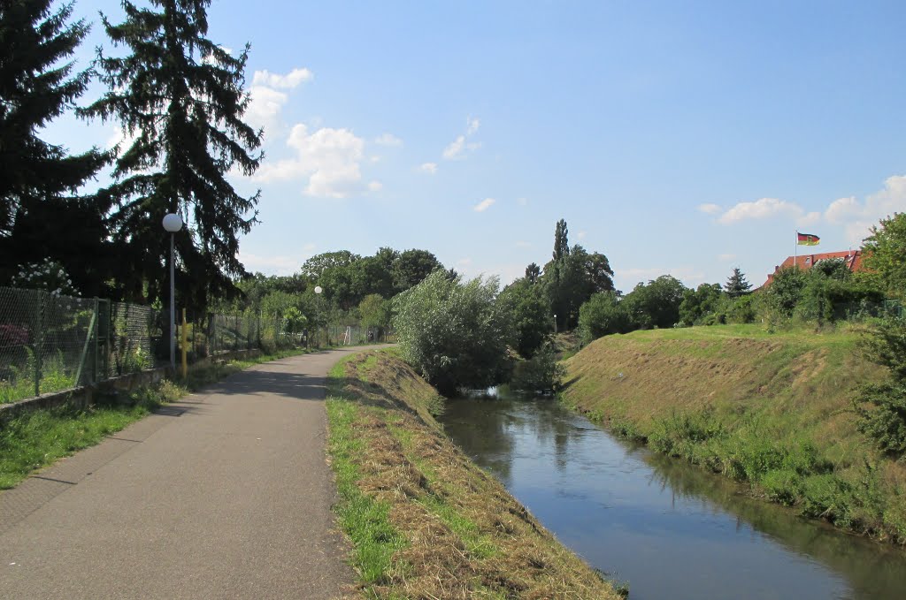 Radweg am Kraichbach bei Hockenheim by HaraldSogl