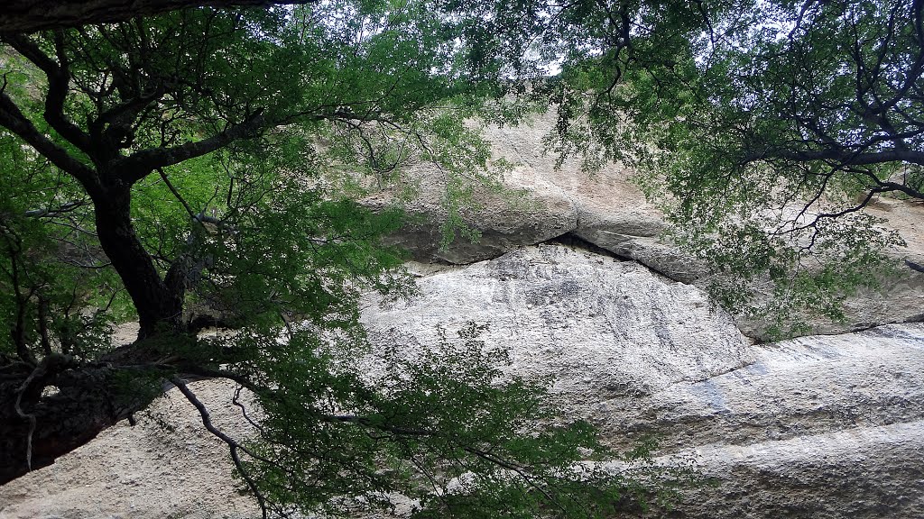 Visual da Caverna do Milodon - Chile by Carlos A Machado