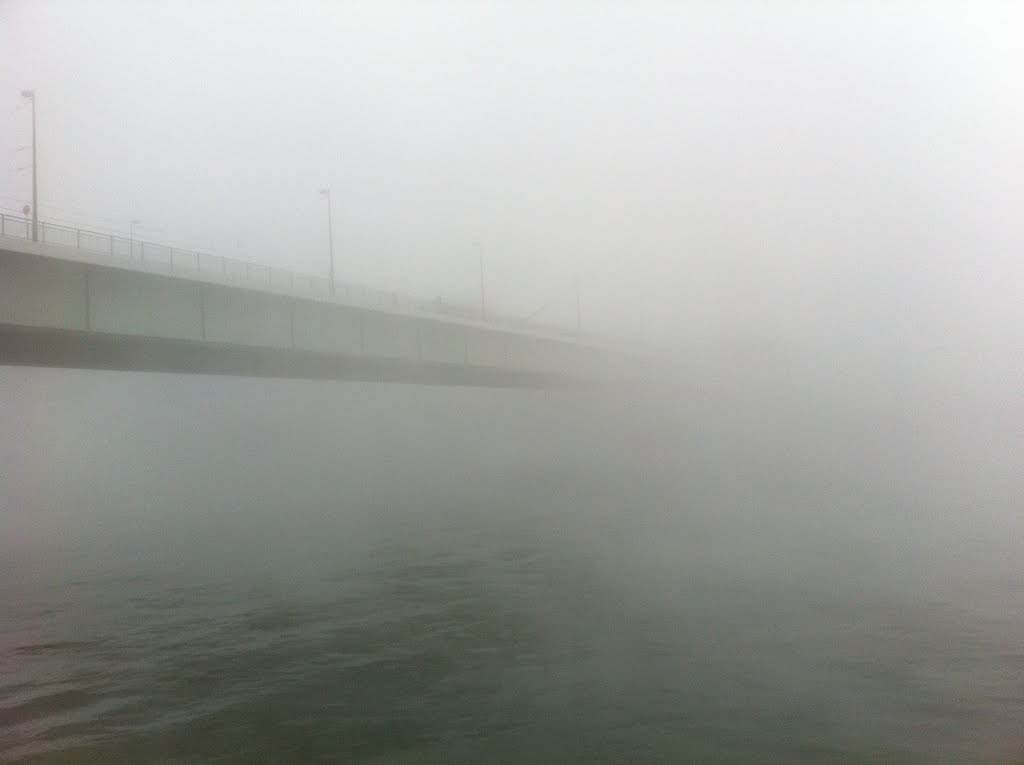 Nebel unter der Severinsbrücke by Jochen Vetter