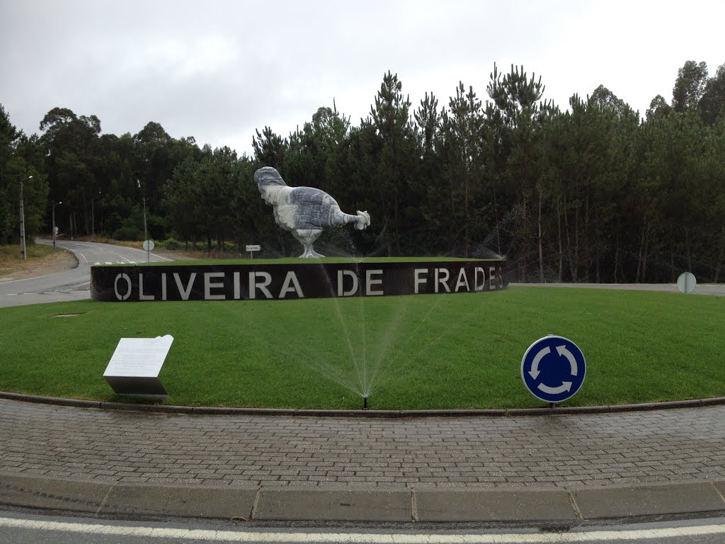 Oliveira de Frades, Portugal by José Guilherme Cruze…