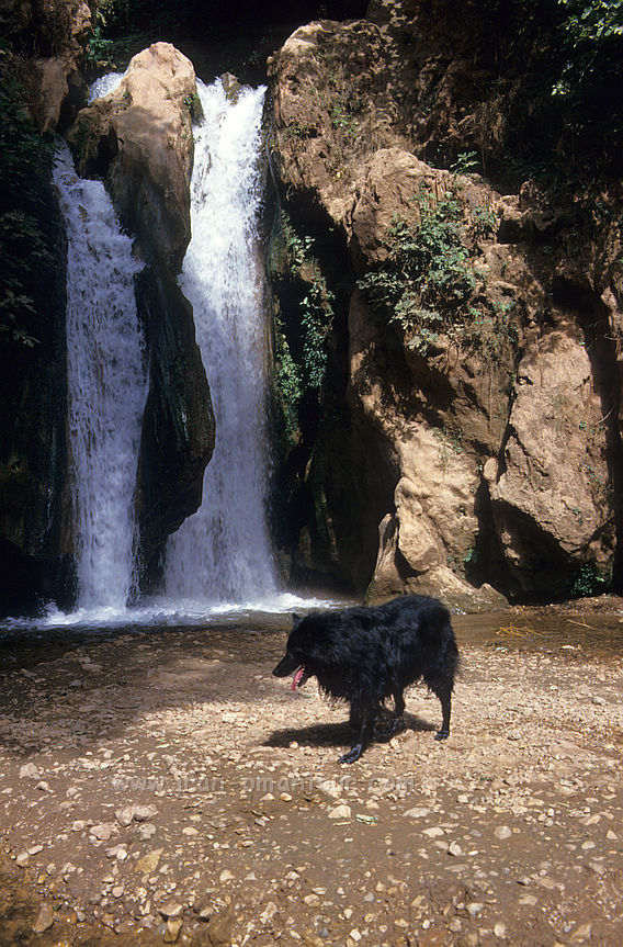 Sefrou waterfall, Morocco tour September 1988 by Adventurous Alpines