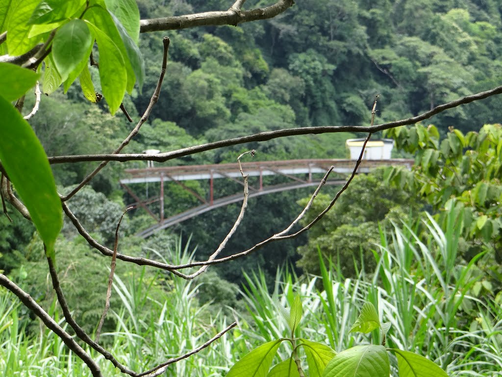 Puente sobre el Rio Grande by Gino Vivi