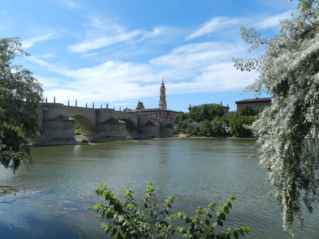 Saragossa, Espanha, 2014 by Predador