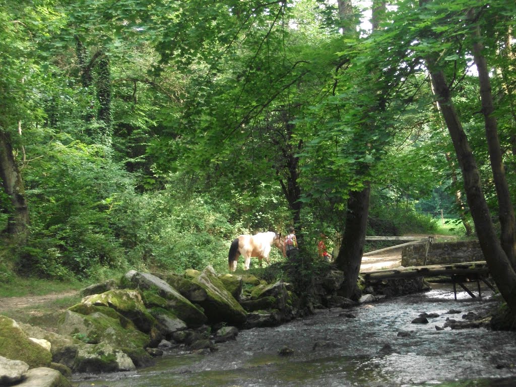 Riviere tres frequentée a brignais by Salomon BARZILAI & Jerome IBY