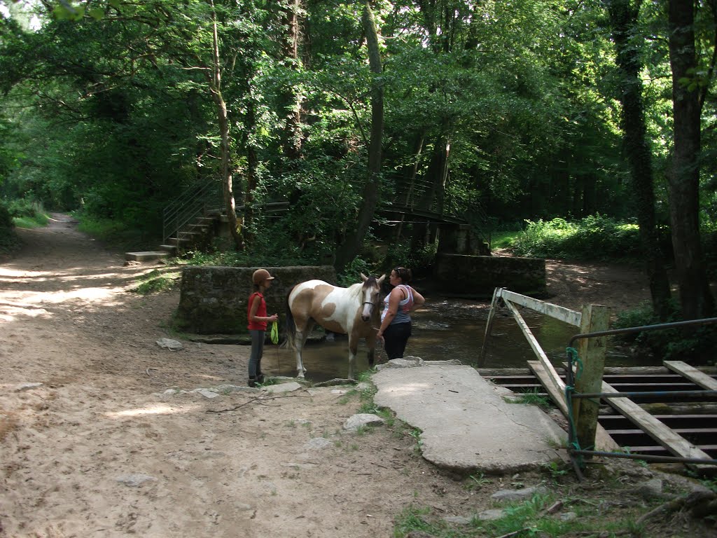 Balade a cheval a brignais by Salomon BARZILAI & Jerome IBY