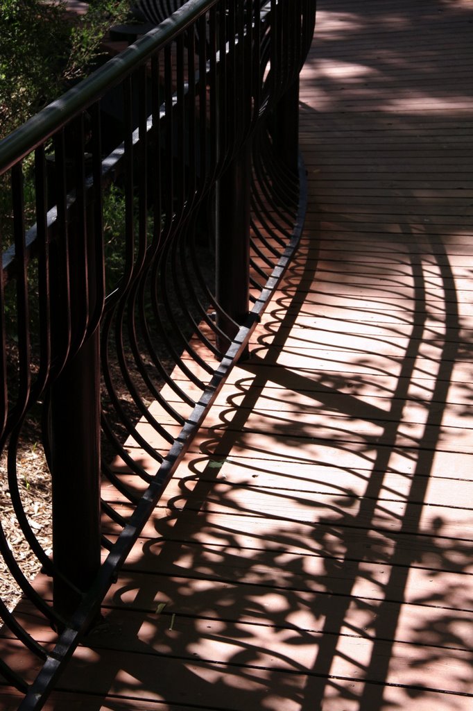 Light and shadows in the Bird Garden by Ryan Calhoun