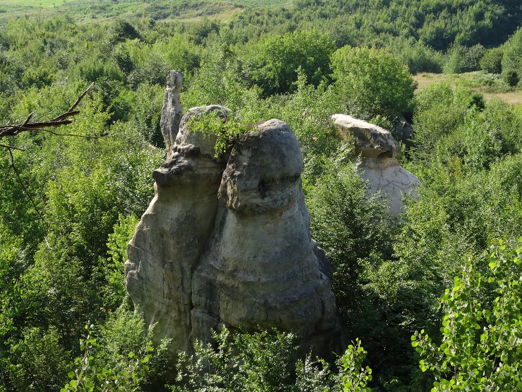 Gradina Zmeilor - Dragons Garden by Radu B_KeepPanoramio