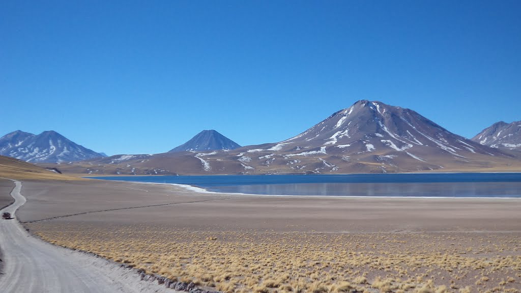 Laguna Miscanti-- 02/08/14 by angel_c2d