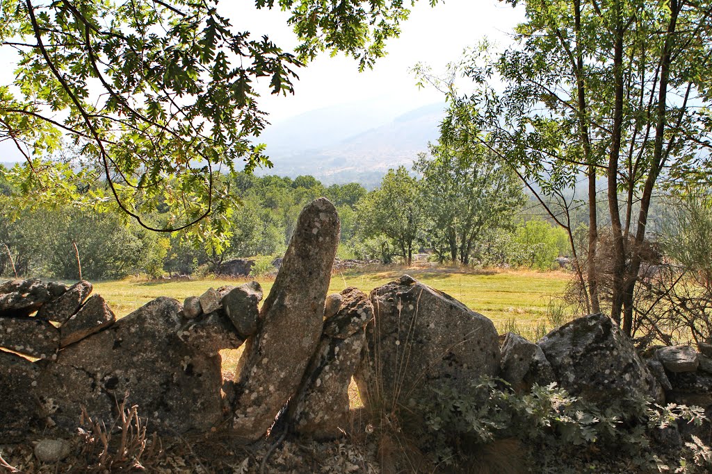 Paisaje de Nava del Barco by RA Melgar