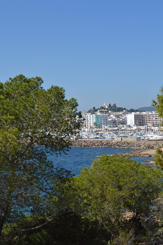 Sendero del Peñón entre árboles, Ibiza by Manuel López Gutiérr…