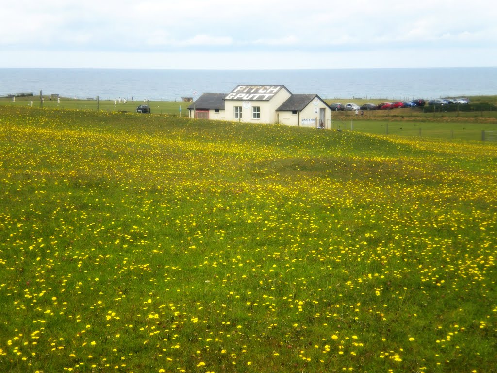 Bude by David Owen