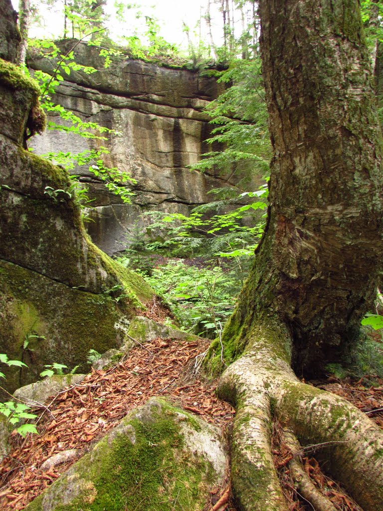 "The Jail" at Jail Falls by Chris Sanfino