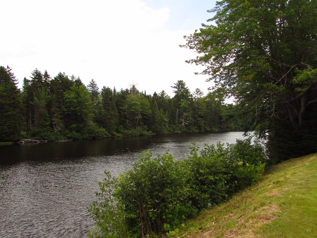 Androscoggin River by Chris Sanfino