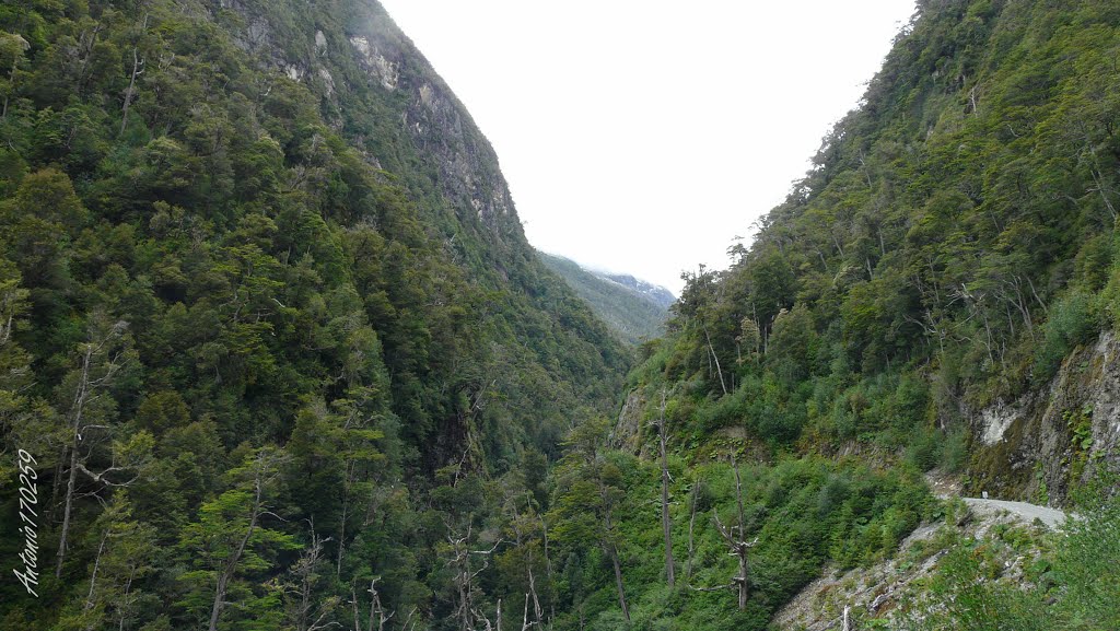 Carretera Austral. El paisaje desborda de vegetación by antonio170259