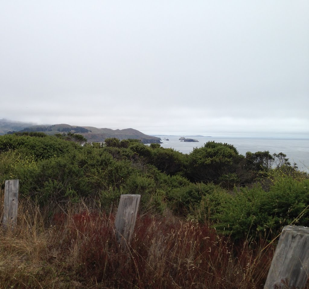 Sonoma Coast State Park, 10439 Highway 1, Jenner, CA 95450, USA 7-2014 by Guaruja