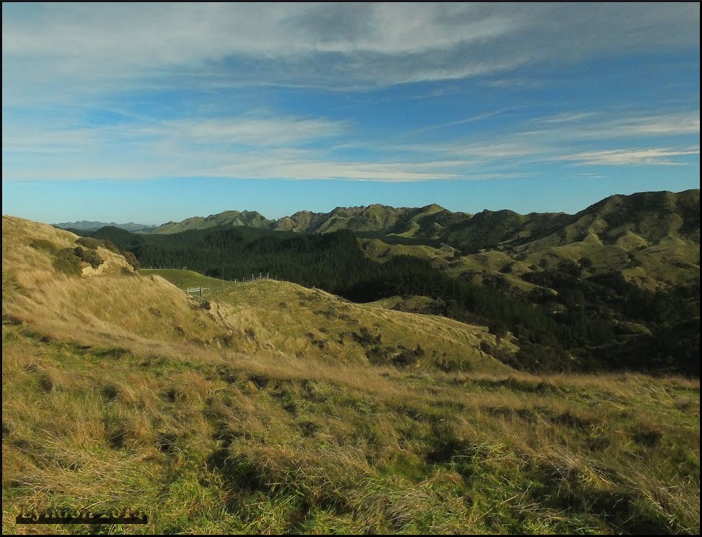 The High Country by Lyndon