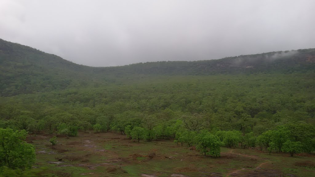 View from Train (Near Hoshangabad) by Pradeep Singh TDM CHW