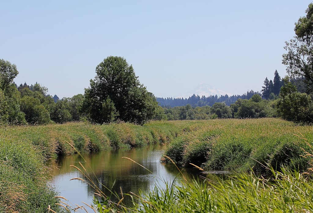 Salmon Creek. Vancouver, WA by scollins