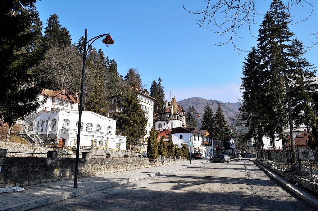 Sinaia 106100, Romania by Mircea_RAICU