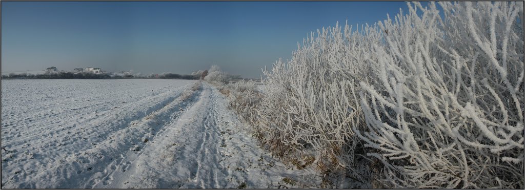 "Field Passage" (2) - Dec 2012 by Tiger Din