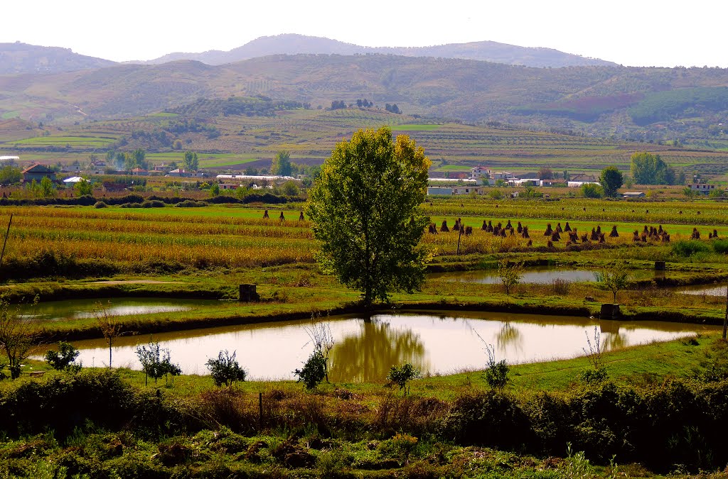 Shqipëria: Roshkoveç... by Giorgos Kiassas