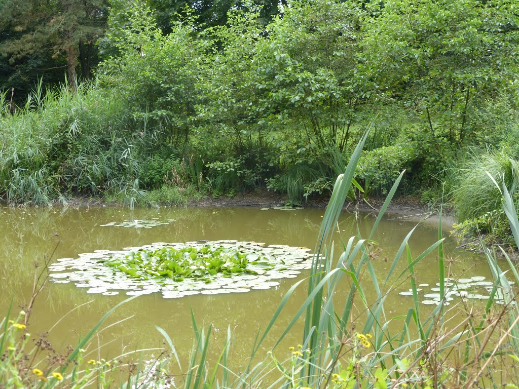 Le parc de brequigny a rennes by gisou56